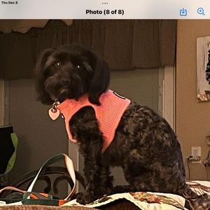 Meet your Posher, Bobby